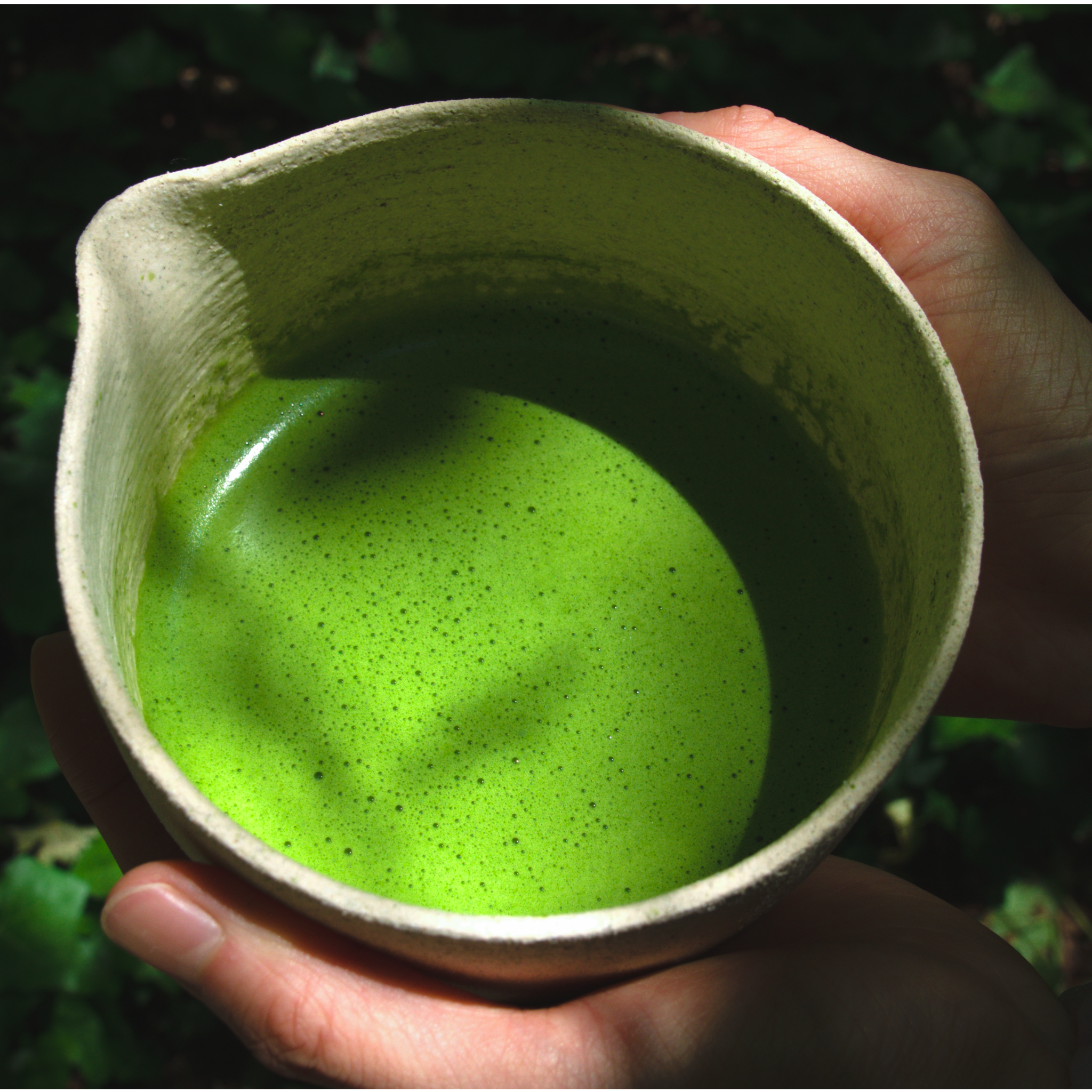 Seres Matcha Organic Single Origin 20g Tin